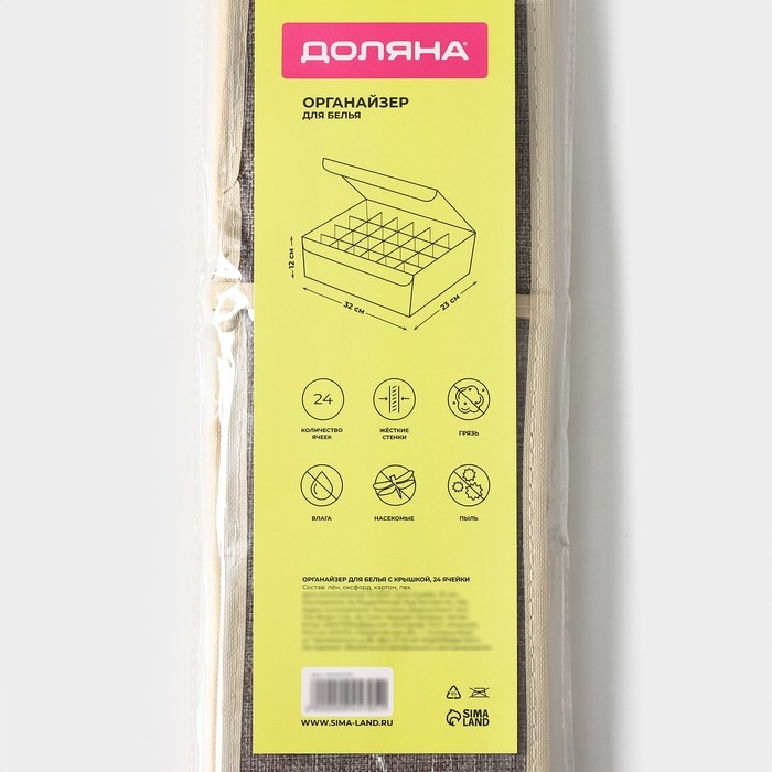Органайзер для хранения белья с прозрачной крышкой Доляна «Тео», 24 ячеек, 32×23×12 см, цвет серый Органайзер для хранения белья с прозрачной крышкой Доляна «Тео», 24 ячеек, 32×23×12 см, цвет серый