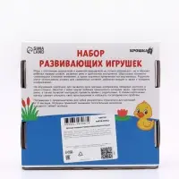 Набор развивающих игрушек, 4 предмета