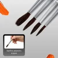 Кисти художественные для рисования, пони, 4 штуки: № 1, 2, 3, 4, круглые, деревянная ручка, международный размер