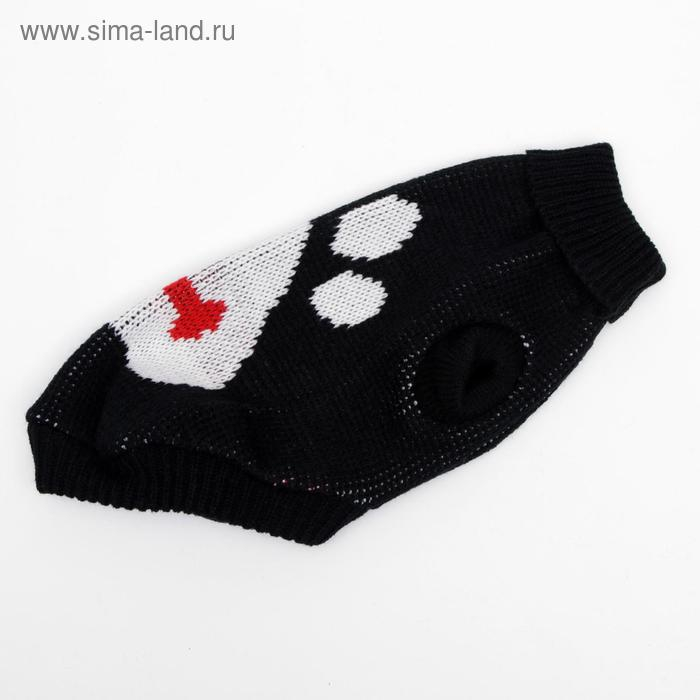 Свитер, размер 10 (ДС 30-45, ОШ 16-31, ОГ 30-45 см), микс расцветок Свитер, размер 10 (ДС 30-45, ОШ 16-31, ОГ 30-45 см), микс расцветок