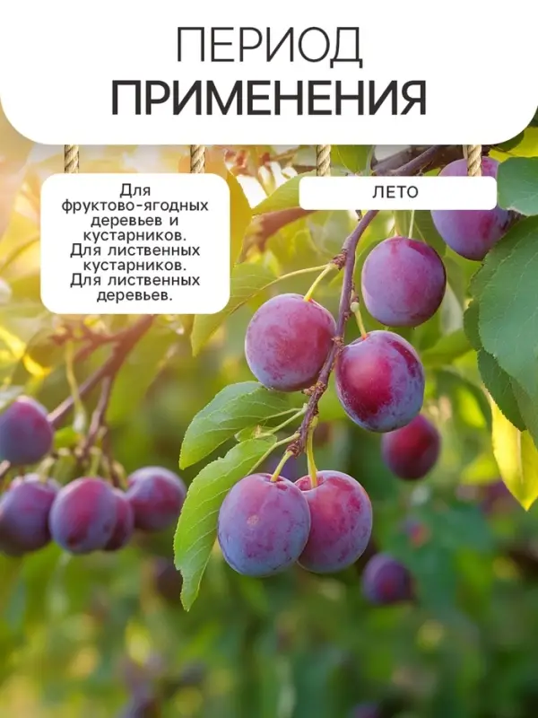 Гидрогель &laquo;Рецепты Дедушки Никиты&raquo;, гранула, 50 г