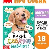 Книга &laquo;Какие собачки бывают?&raquo;, энциклопедия, 16 стр.