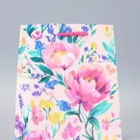 Пакет подарочный ламинированный &laquo;Красота-нежность&raquo; 18&times;22.3&times;10 см