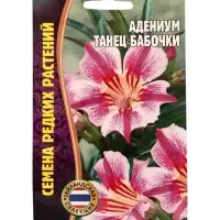 Семена цветов Адениум Танец Бабочки 3 шт.  12.29 г.