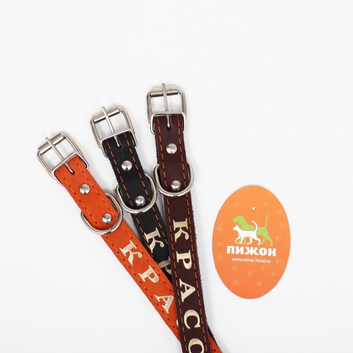 Ошейник кожаный однослойный, тиснёный «Красотка», 48 х 2 см, ОШ 32-43 см, микс цветов Ошейник кожаный однослойный, тиснёный «Красотка», 48 х 2 см, ОШ 32-43 см, микс цветов