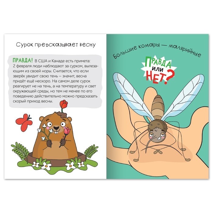 Обучающая книга «Правда или нет? Как в народе говорят», 44 стр. Обучающая книга «Правда или нет? Как в народе говорят», 44 стр.