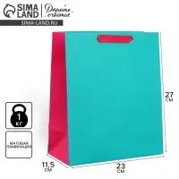 Пакет подарочный двухцветный, упаковка, &laquo;Розовый-голубой&raquo;, ML 23&times;27&times;11.5 см