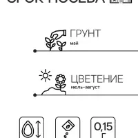 Семена Цветов Иберис зонтичный "Белый Гиацинт" ,0 ,15 г , Семена Цветов Иберис зонтичный "Белый Гиацинт" ,0 ,15 г ,