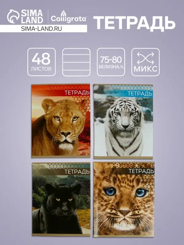 Тетрадь 48 листов в клетку, Calligrata &laquo;Дикие кошки&raquo;, обложка мелованная бумага, МИКС