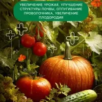 Органическое удобрение Биогумус Универсальное, концентрат, Ивановское, канистра, 3 л