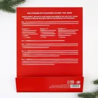 Набор для праздника &laquo;Новогодняя почта Деду Морозу&raquo;, 22&times;29 см
