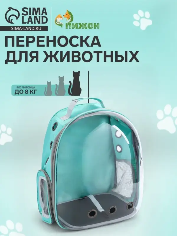 Рюкзак для переноски животных, 31&times;28&times;42 см, прозрачный, бирюзовый