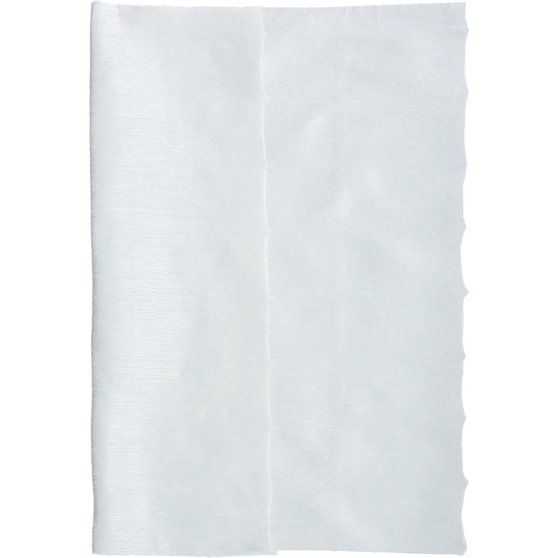 Салфетки хозяйственные Luscan спанлейс 40г/м2, 22х23см, 70л/рул