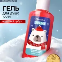Гель для душа новогодний, аромат: морозный арбуз, 100 мл, Ural Lab