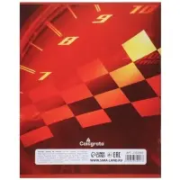 Комплект тетрадей, 48 листов в клетку, Calligrata &laquo;Авто&raquo;, серые листы, 5 штук