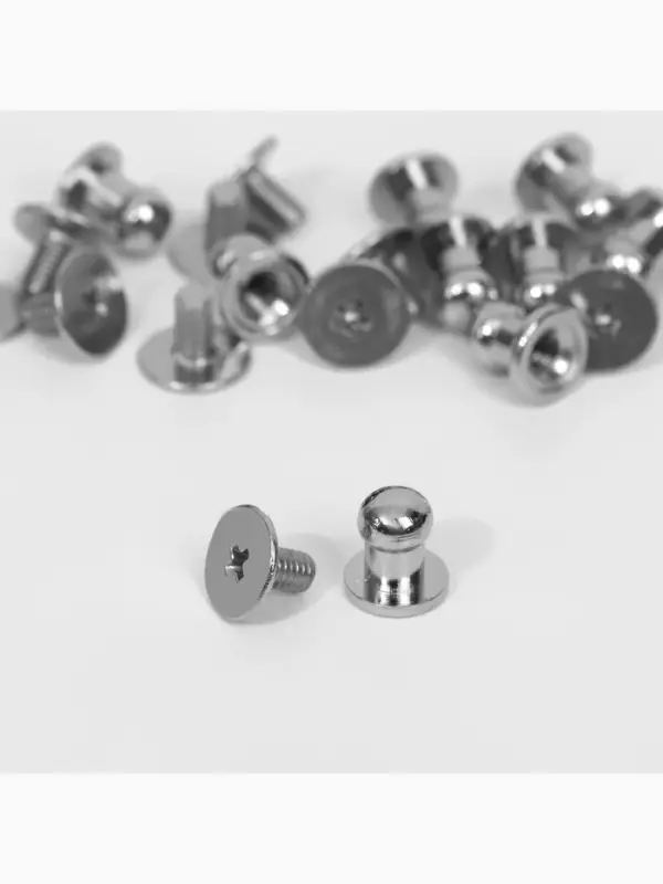 Кобурный винт d=5/6&times;8 мм, 10 шт., цвет серебряный