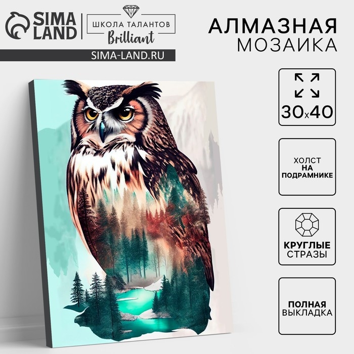 Алмазная мозаика с полным заполнением на холсте с подрамником «Филин», 30 х 40 см