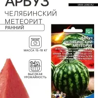 Семена Арбуз Челябинский метеорит (УД) Е/П , Е/П,  10 шт.