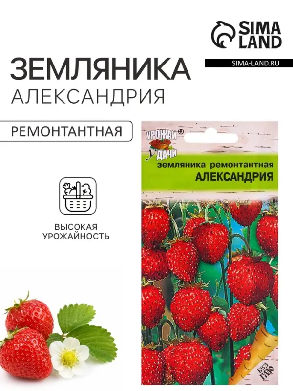 Семена Земляника &laquo;Александрия&raquo;, 0.04 г, ремонтантная, &laquo;Урожай удачи&raquo;