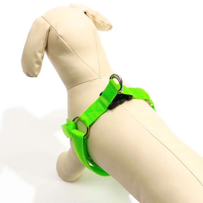 Шлейка светящаяся размер XL, стропа 2,5 см, ОГ 60-70 см, 3 режима свечения зелёная Шлейка светящаяся размер XL, стропа 2,5 см, ОГ 60-70 см, 3 режима свечения зелёная