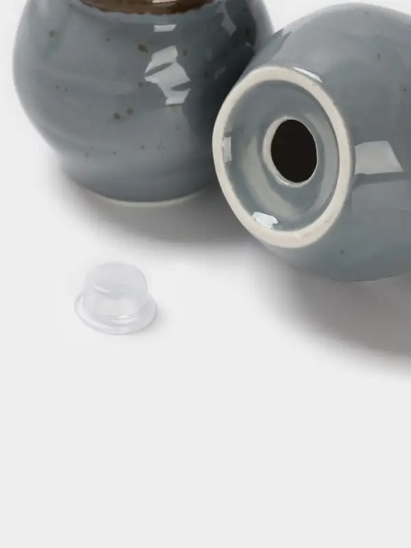 Набор для специй Magistro Alpine Frost, 2 предмета: перечница, солонка, 80 мл, 5&times;6 см, фарфор, голубовато-серый