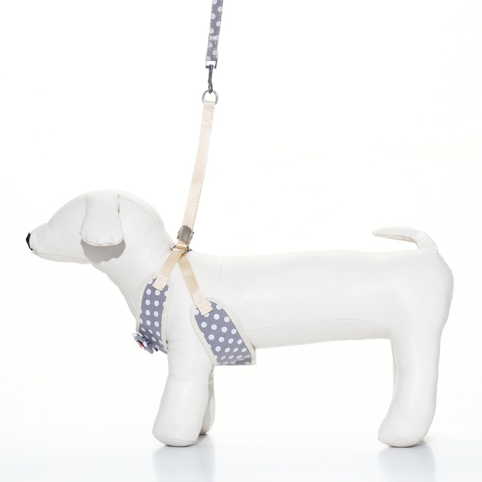 Комплект с мягкой шлейкой Комплект с мягкой шлейкой "Горох", размер S, поводок 120 х 1,5 см, ОГ 28-62 см, серый