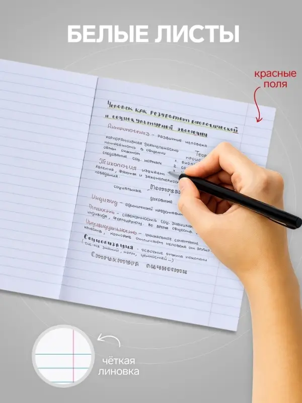 Тетрадь 48 листов в линейку, Calligrata &laquo;Кот&raquo;, МИКС