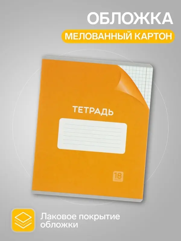 Тетради 18 листов в клетку Calligrata &laquo;Однотонная Классика&raquo;, обложка мелованный картон, серые листы, 10 шт.
