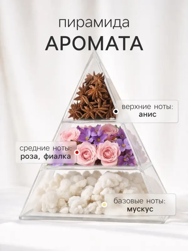 Диффузор ароматический с палочками Holi Gladness, 50 мл
