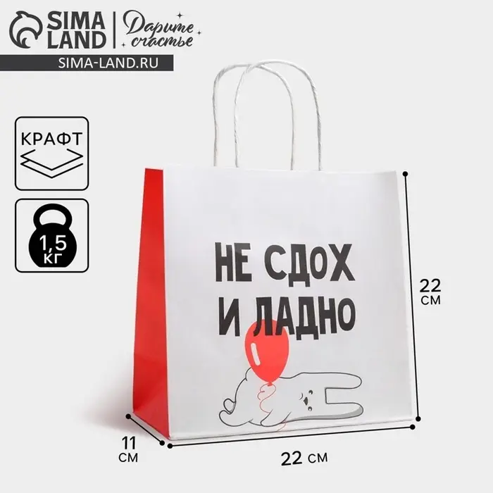 Пакет подарочный &laquo;И ладно&raquo;, упаковка, 22&times;22&times;11 см