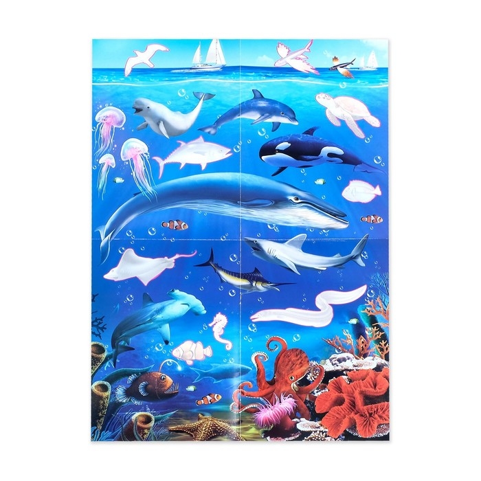 Активити книга с наклейками и растущими игрушками «Океан», 12 стр. Активити книга с наклейками и растущими игрушками «Океан», 12 стр.