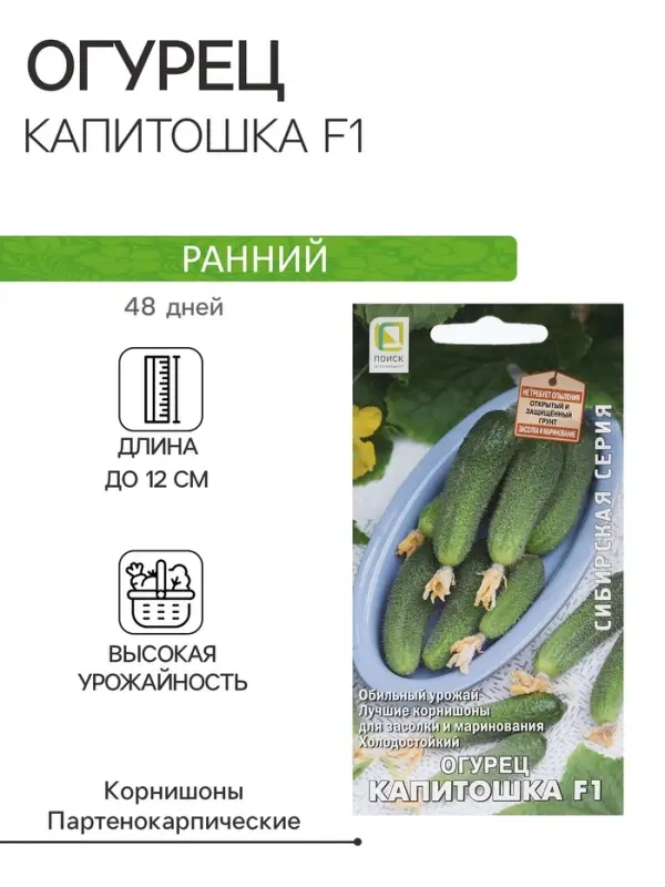 Семена Огурец "Капитошка F1" 12 шт