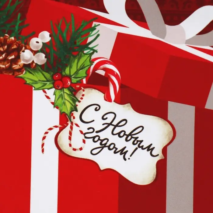 Пакет подарочный новогодний ламинированный «Для тебя», S 12 х 15 х 5.5 см Пакет подарочный новогодний ламинированный «Для тебя», S 12 х 15 х 5.5 см