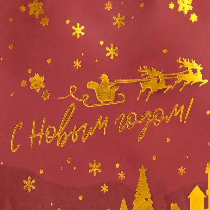 Пакет бумажный подарочный новогодний с тиснением, «На встречу Новому Году» 16×12×6 см Пакет бумажный подарочный новогодний с тиснением, «На встречу Новому Году» 16×12×6 см