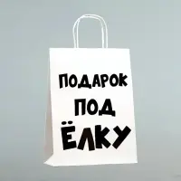 Пакет бумажный подарочный новогодний крафт с приколами, «Подарок под ёлку», белый, 24×14×28 см