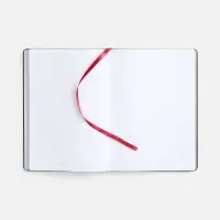 Ежедневник Nebraska Flex, недатированный, бордовый с золотистым