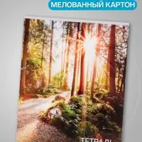 Набор тетрадей, 96 листов в клетку, Calligrata &laquo;Природа&raquo;, серые листы, 4 штуки