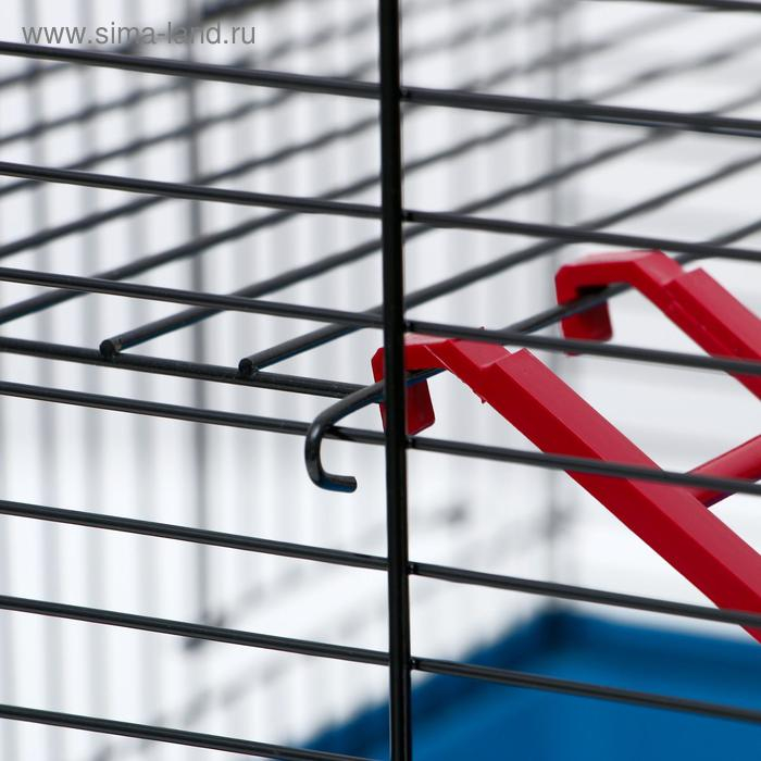 Клетка для грызунов  Клетка для грызунов "Сеня 2", 50 x 37 x 37 см, микс цветов