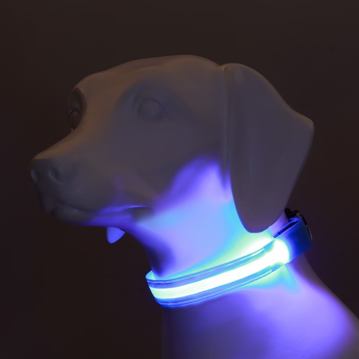 Ошейник с подсветкой Двойная полоса размер M, ОШ 40-48 х 2,5 см, 3 режима свечения голубой 977224 Ошейник с подсветкой Двойная полоса размер M, ОШ 40-48 х 2,5 см, 3 режима свечения голубой 977224