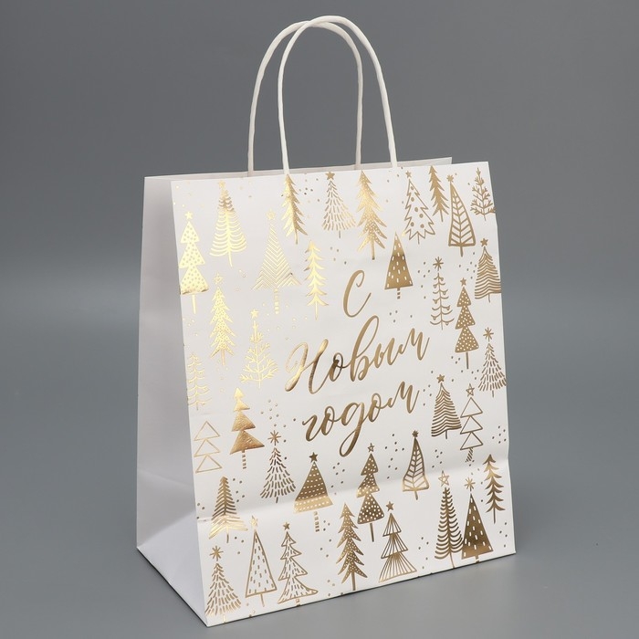 Пакет подарочный новогодний крафтовый «Новогодняя пора», 22 х 25 х 12 см, Новый год Пакет подарочный новогодний крафтовый «Новогодняя пора», 22 х 25 х 12 см, Новый год