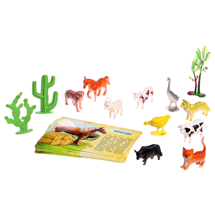 Набор животных с обучающими карточками «Фермерское хозяйство», животные пластик, карточки, по методике Монтессори Набор животных с обучающими карточками «Фермерское хозяйство», животные пластик, карточки, по методике Монтессори