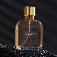 Туалетная вода мужская Homme Champion, 100 мл (по мотивам 1 Million (P.Rabanne)