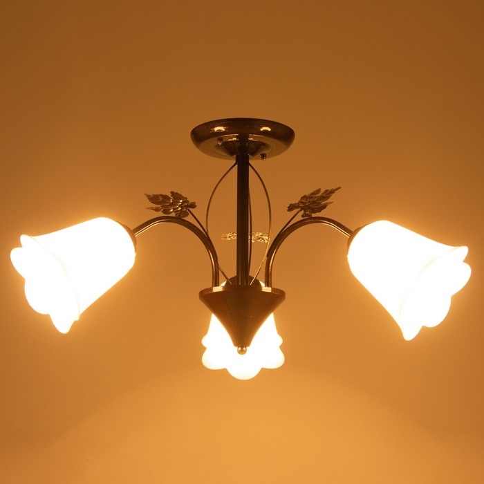 Люстра Люстра "Букет" 3х15Вт Е27 МОДЕЛЬ: BR 00228 венге/белый