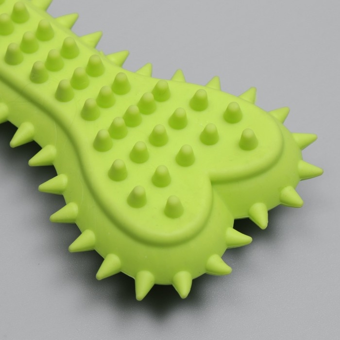 Игрушка жевательная литая Игрушка жевательная литая "Кость с шипами", 15 х 6 х 2,5 см, салатовая