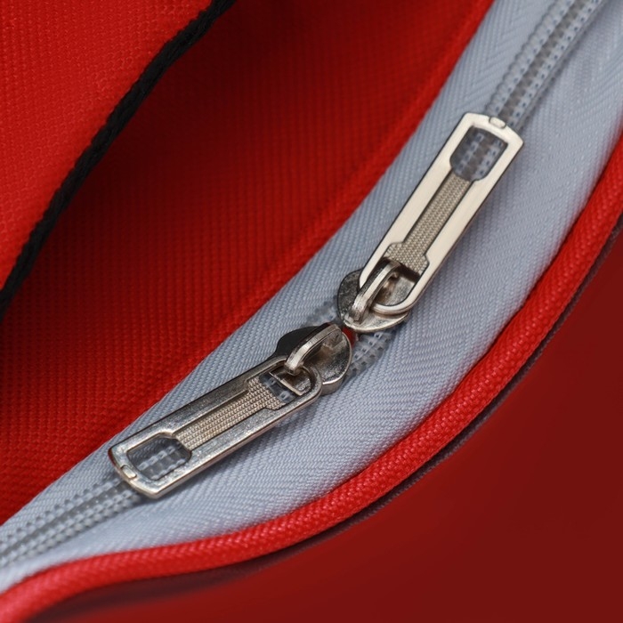 Рюкзак для переноски кошек, прозрачный, 32 х 28 х 42 см, красный Рюкзак для переноски кошек, прозрачный, 32 х 28 х 42 см, красный