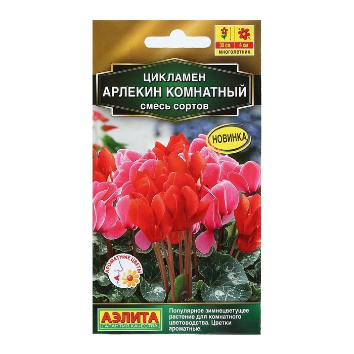 Семена Цветов Цикламен  Семена Цветов Цикламен "Арлекин комнатный", смесь сортов, 3 шт