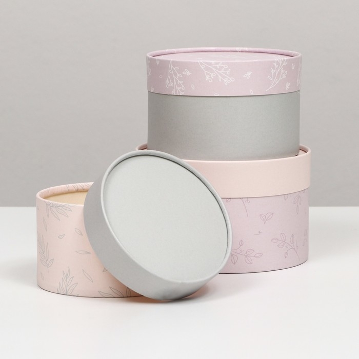 Набор шляпных коробок 3 в 1 Набор шляпных коробок 3 в 1 "Пастель", завальцованная, 16 х 10, 14 х 9, 13 х 8,5 см
