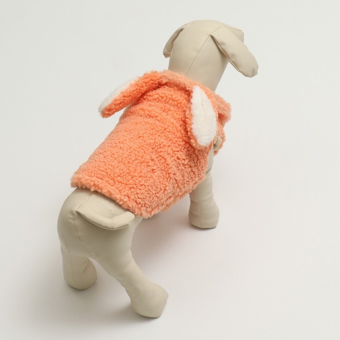 Костюм Зайка Костюм Зайка", размер S (ДС 25 см, ОШ 24 см. ОГ 35 см), оранжевый