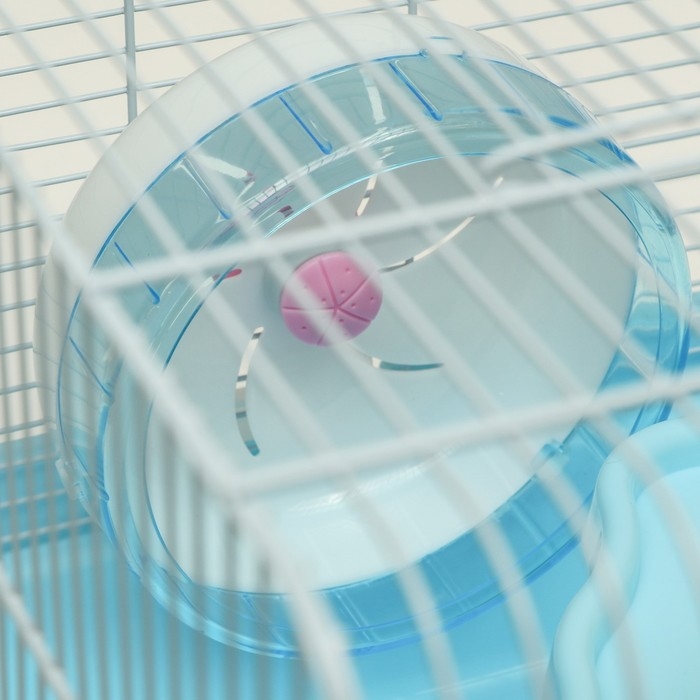 Клетка для грызунов Клетка для грызунов "Пижон", укомплектованная с замком, 37 х 27 х 30 см, голубая