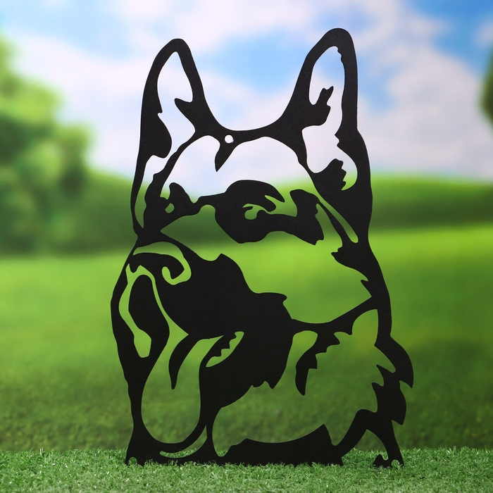 Табличка  Табличка "Собака" 19х27,7см